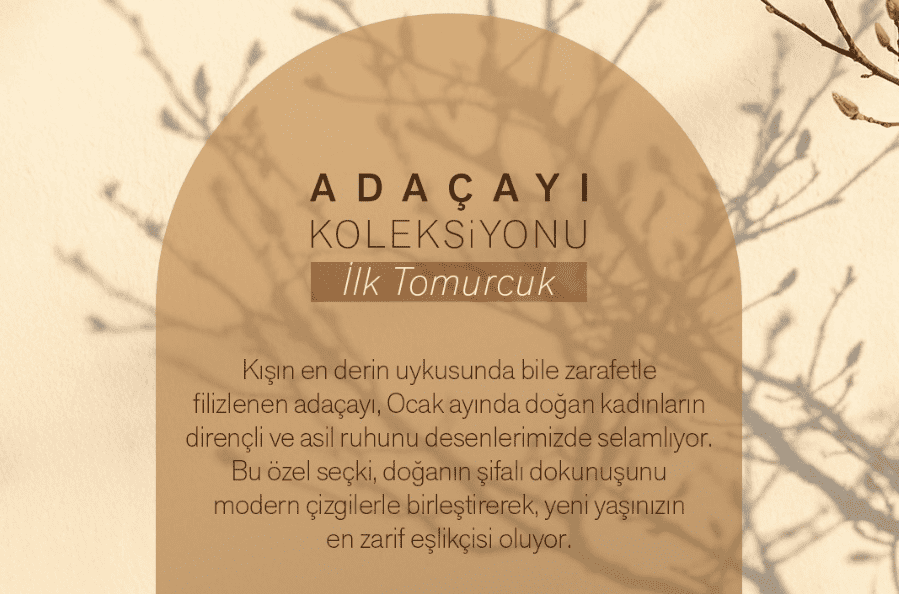 Adaçayı Koleksiyonu